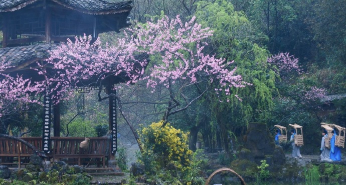 酉阳·酉阳桃花源景区